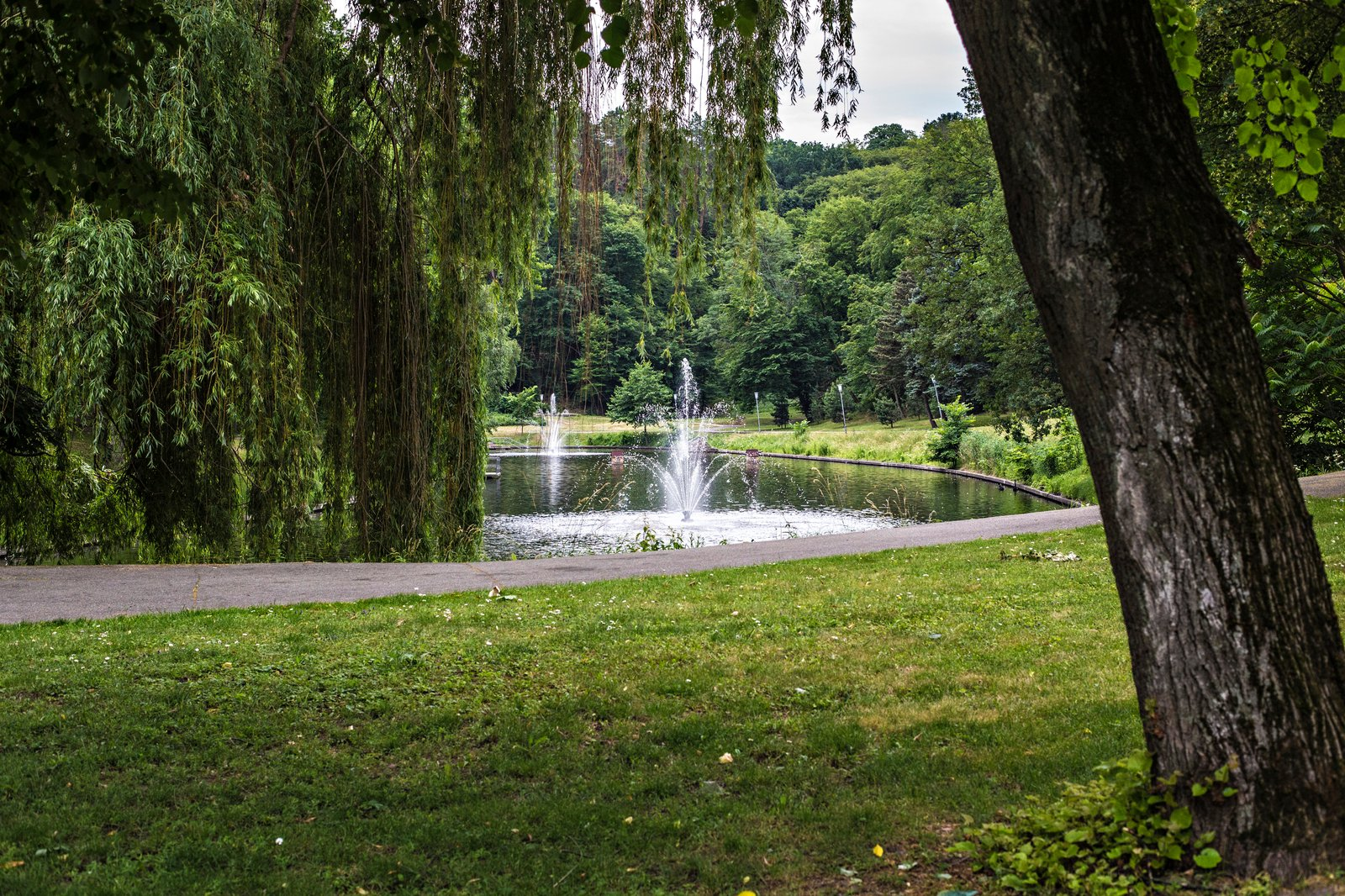 Path through a shaded park